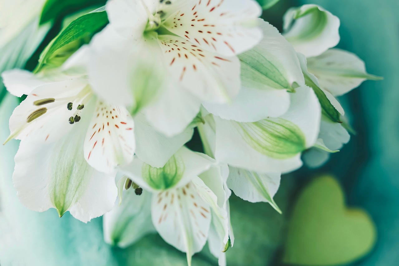The Role of Mindfulness Practices in Boosting Work Efficiency